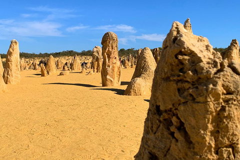 Pinnacles Desert (Private) Day Tour - Hervey Bay Accommodation 0