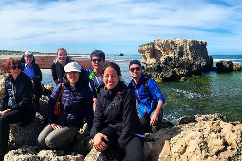 Pinnacles Desert (Private) Day Tour - Hervey Bay Accommodation 4