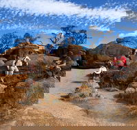 The Big Wave Rock Private Day Tour - Hervey Bay Accommodation