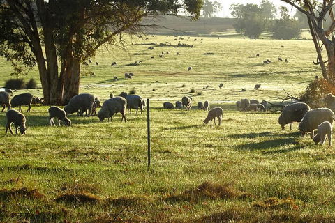 The Big Wave Rock (Private) Day Tour - Hervey Bay Accommodation 1