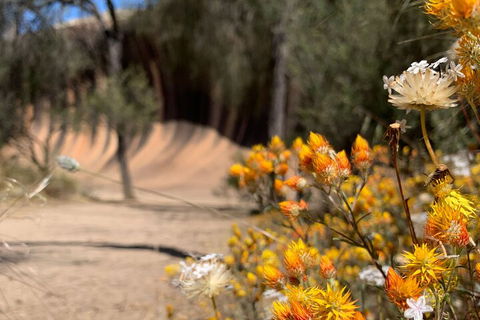 The Big Wave Rock (Private) Day Tour - Hervey Bay Accommodation 3