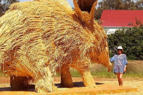 The Big Wave Rock (Private) Day Tour - Hervey Bay Accommodation 5