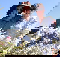 Spring Wildflower Private Day Tours - Hervey Bay Accommodation