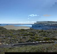 Penguin Island And Fremantle - Canoe Chocolate  Coffee - Hervey Bay Accommodation