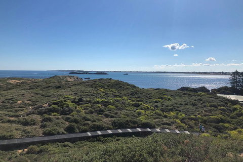 Penguin Island And Fremantle - Canoe, Chocolate & Coffee - Hervey Bay Accommodation 0
