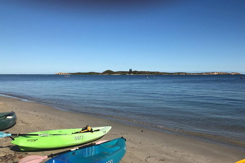 Penguin Island And Fremantle - Canoe, Chocolate & Coffee - Hervey Bay Accommodation 2