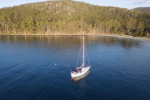 Twilight Sail Bruny Island - Hervey Bay Accommodation 3