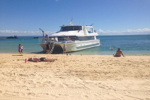 Cruise In Moreton Bay Marine Park And Moreton Island - Tourism Hervey Bay 4