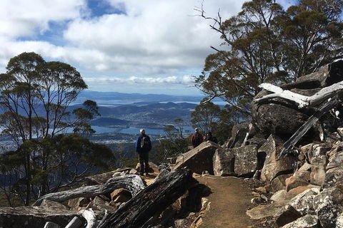 Kunanyi / Mt Wellington Explorer Bus - 2 Hour Return Tour - Tourism Hervey Bay 0