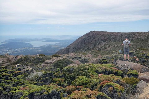 Kunanyi / Mt Wellington Explorer Bus - 2 Hour Return Tour - Tourism Hervey Bay 3