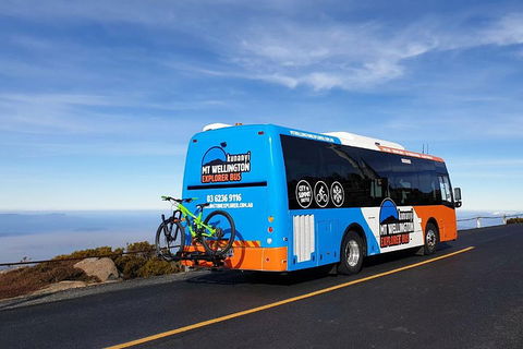 Kunanyi / Mt Wellington Explorer Bus - 2 Hour Return Tour - Tourism Hervey Bay 4