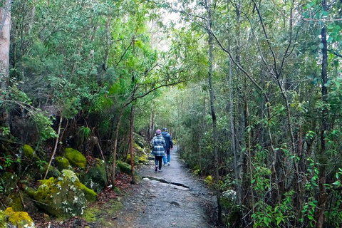 Kunanyi/Mt Wellington Tour & Hobart Hop-On Hop-Off Bus - Hervey Bay Accommodation 1