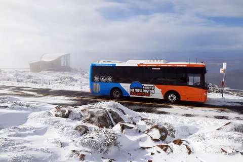 Kunanyi/Mt Wellington Tour & Hobart Hop-On Hop-Off Bus - Hervey Bay Accommodation 2