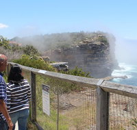 Sydney Shore Excursion Half-Day Sydney City Highlights with Bondi Beach and Watsons Bay - Hervey Bay Accommodation