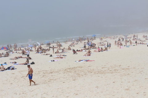 Sydney Shore Excursion: Half-Day Sydney City Highlights With Bondi Beach And Watsons Bay - Hervey Bay Accommodation 4