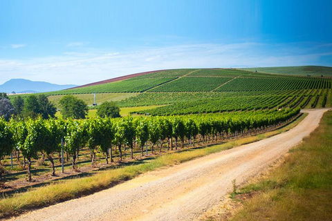 Full Day Tamar Valley Wine Tour - Hervey Bay Accommodation 1