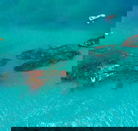 Private Tangalooma Wrecks Tour - Tourism Hervey Bay