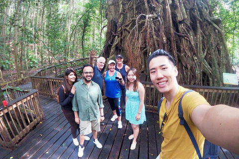 Cairns 4WD Waterfall And Rainforest Tour Including Kuranda Scenic Railway - Hervey Bay Accommodation 0