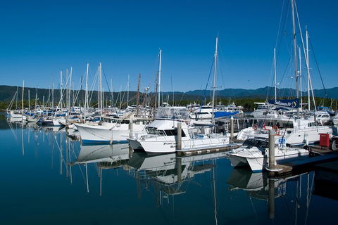 Cairns Reef And Rainforest Combo: Daintree Rainforest And The Great Barrier Reef - Hervey Bay Accommodation 5