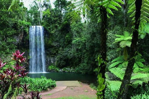 Paronella Park And Millaa Millaa Falls Full-day Tour From Cairns - Tourism Hervey Bay 3
