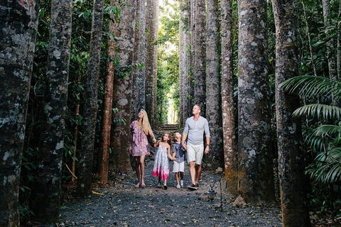 Paronella Park And Millaa Millaa Falls Full-day Tour From Cairns - Tourism Hervey Bay 5
