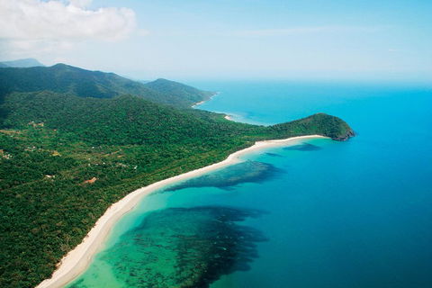Cape Tribulation, Mossman Gorge, And Daintree Rainforest Premium Day Tour - Hervey Bay Accommodation 2