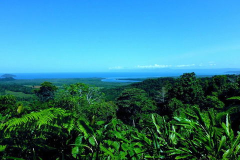 Cape Tribulation, Mossman Gorge, And Daintree Rainforest Premium Day Tour - Hervey Bay Accommodation 5
