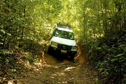 Cairns National Park Rainforest And Waterfall Small Group Tour Shore Excursion - Tourism Hervey Bay 0