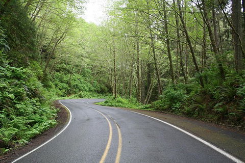 Cruise Ship Shore Excursion - Private Great Ocean Road Full Day Tour (12 Hour) - Tourism Hervey Bay 3