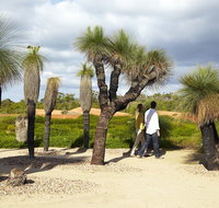 1 Day Exclusively Private Tour Of Phillip Island  The Penguin Parade - Hervey Bay Accommodation