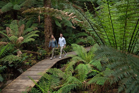 2 Day Exclusively Private Tour Of Phillip Island & The Great Ocean Road - Hervey Bay Accommodation 5