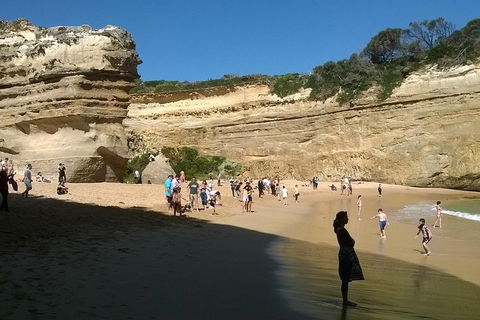 Great Ocean Road Full Day Private Experience - Tourism Hervey Bay 3