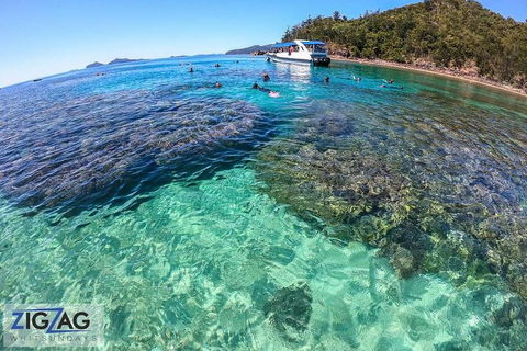 Whitehaven Beach Day Tour With Snorkel In Whitsundays Island - Hervey Bay Accommodation 5