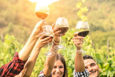 McLaren Vale Luxury Wine Tour - Hervey Bay Accommodation 2