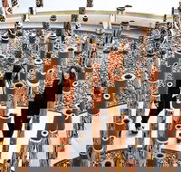 Sydney - Canberra Trip via Grand Pacific Drive Stay Overnight - Hervey Bay Accommodation