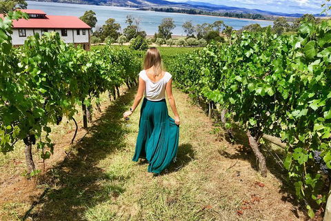 Tamar Valley Wine Tour With Lunch - Hervey Bay Accommodation 2
