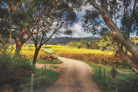 McLaren Vale Winery Small Group Tour With Wine Tasting And Lunch - Tourism Hervey Bay 1