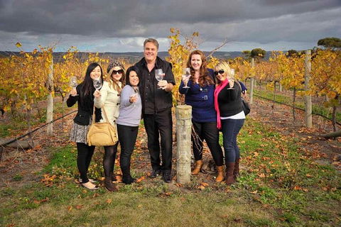 McLaren Vale Winery Small Group Tour With Wine Tasting And Lunch - Tourism Hervey Bay 3