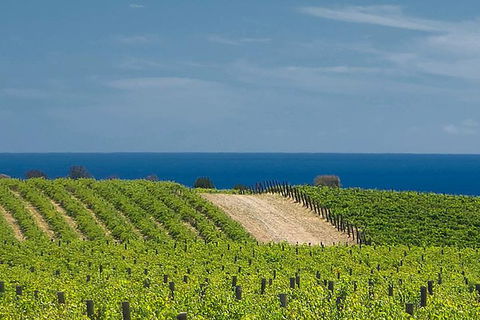 McLaren Vale Winery Small Group Tour With Wine Tasting And Lunch - Tourism Hervey Bay 4
