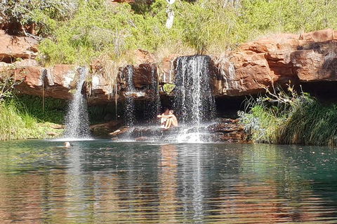 9 Day Perth To Broome Adventure - Hervey Bay Accommodation 2