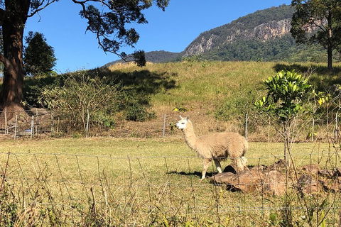 Waterfall Tour - Tourism Hervey Bay 2