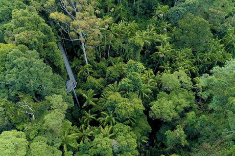 Natural Bridge, Skywalk And Mt Tamborine Adventure! - Hervey Bay Accommodation 2