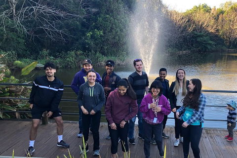 Natural Bridge, Skywalk And Mt Tamborine Adventure! - Hervey Bay Accommodation 4