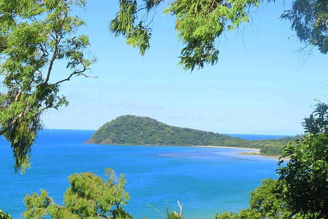 Full Day Tour In The Daintree - Hervey Bay Accommodation 1
