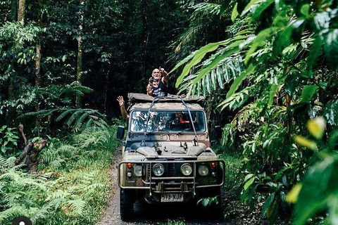 Full Day Tour In The Daintree - Hervey Bay Accommodation 4