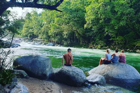 Afternoon Half-Day Daintree Rainforest And River Tour - Hervey Bay Accommodation 0