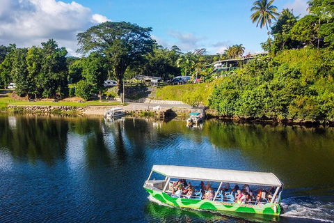 Afternoon Half-Day Daintree Rainforest And River Tour - Hervey Bay Accommodation 1