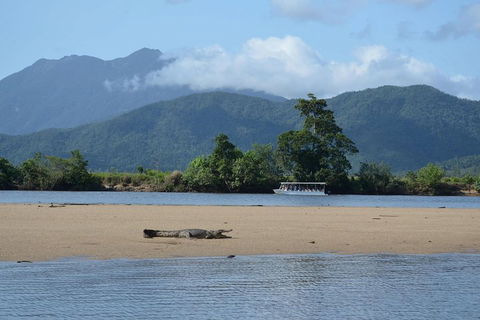 Afternoon Half-Day Daintree Rainforest And River Tour - Hervey Bay Accommodation 2