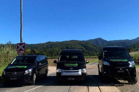 Afternoon Half-Day Daintree Rainforest And River Tour - Hervey Bay Accommodation 4