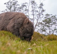 3-Day Cradle Mountain Photography Workshop - Hervey Bay Accommodation
